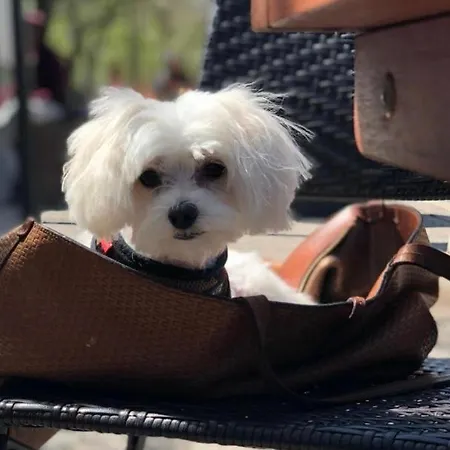 Hanza Tower Lux Jacuzzi & Sauna & Pool *